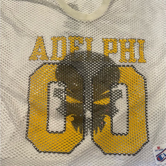 Custom Champion M Adelphi University Jersey – Misfitz Skull Streetwear C… - Picture 2 of 4